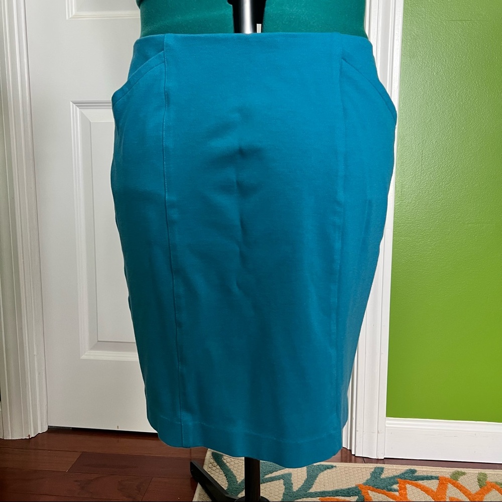 CAbi Sigourney Pencil Skirt, size 12
